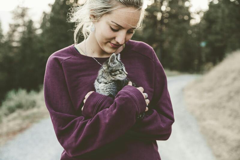 chaton et son propriétaire