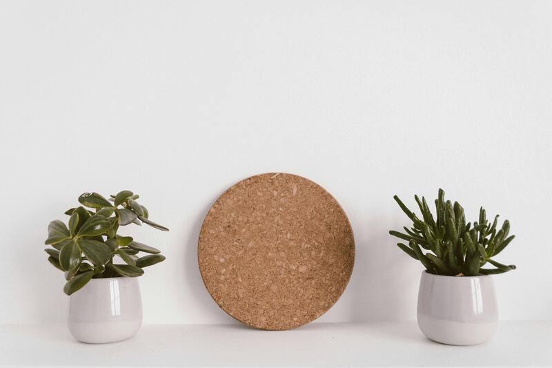 plantes vertes